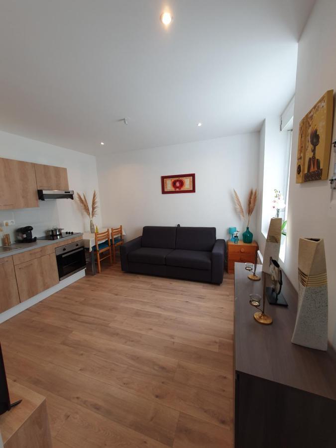 Appartement Savane Нанси Экстерьер фото